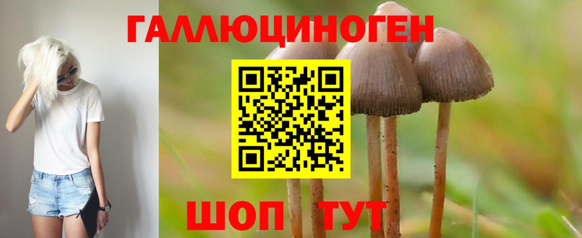 Можайск  Псилоцибиновые грибы Magic Shrooms  Вход с VPN  Псилоцибиновые грибы GOLDEN TEACHER 